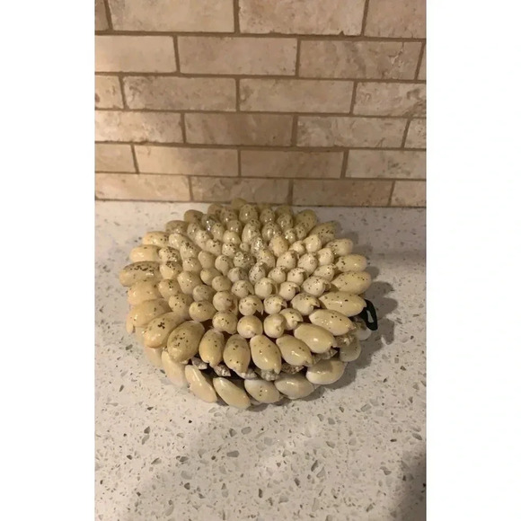 Seashell‎ Jewelry Box    Bq - Picture 4 of 6